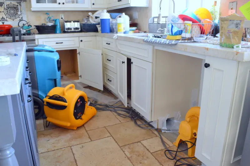 Appliance Supply Line Leak Cleanup in Laguna Hills, CA