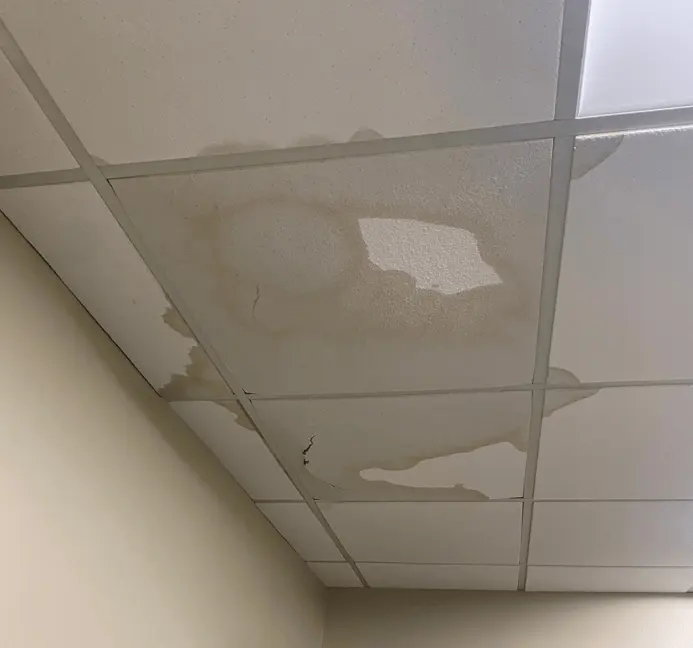 Roof and Storm Leak Water Damage in Laguna Hills, CA